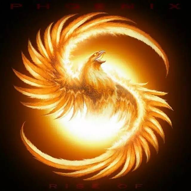 3537